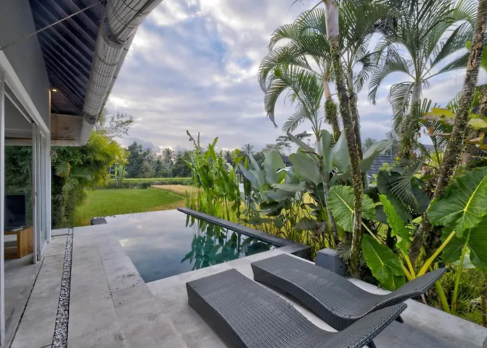 Koa * Ubud (Bali)